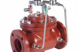 Petroleum pump valve   