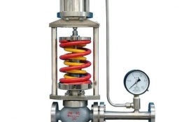 Petroleum pump valve       