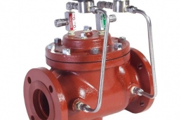 Petroleum pump valve   