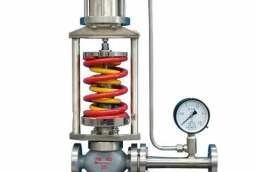 Petroleum pump valve       