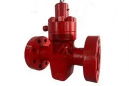 Petroleum pump valve