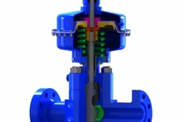 Petroleum pump valve    