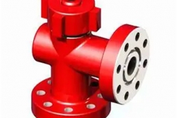 Petroleum pump valve 