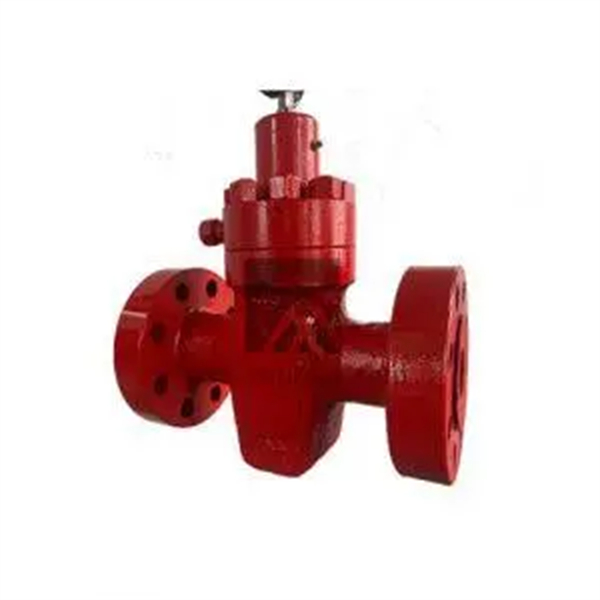 Petroleum pump valve