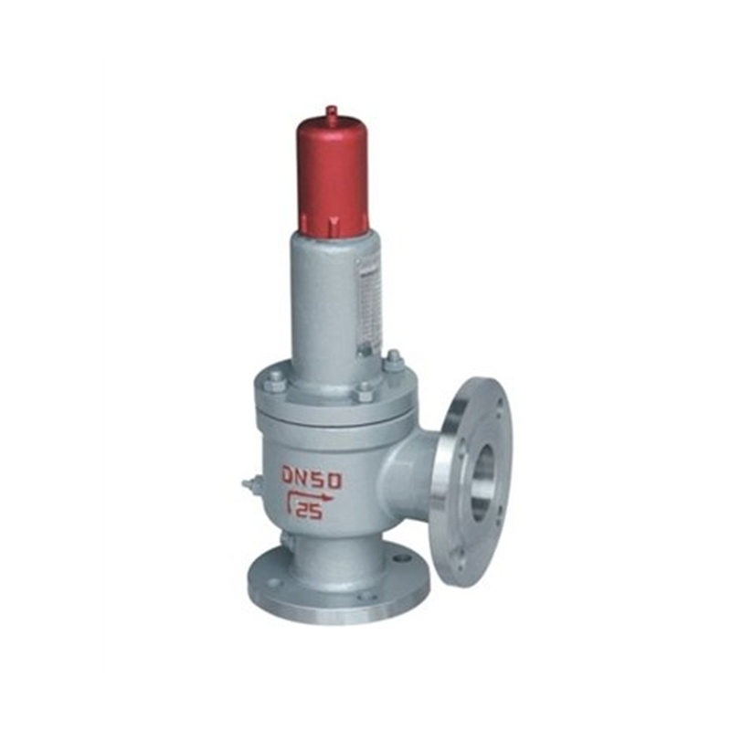 Petroleum pump valve  (2)
