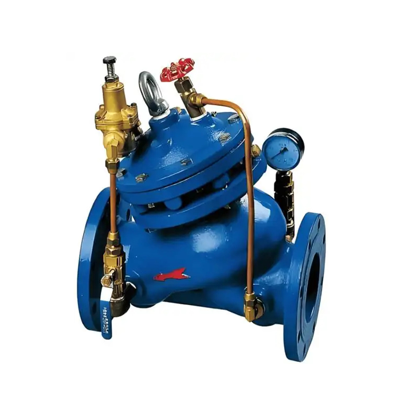 Petroleum pump valve  (6)