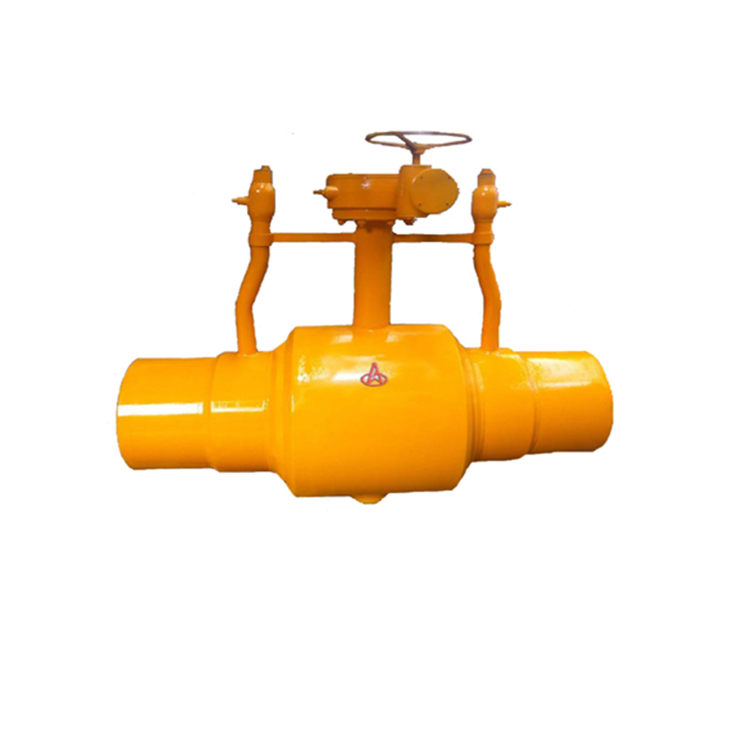 Petroleum pump valve  (15)