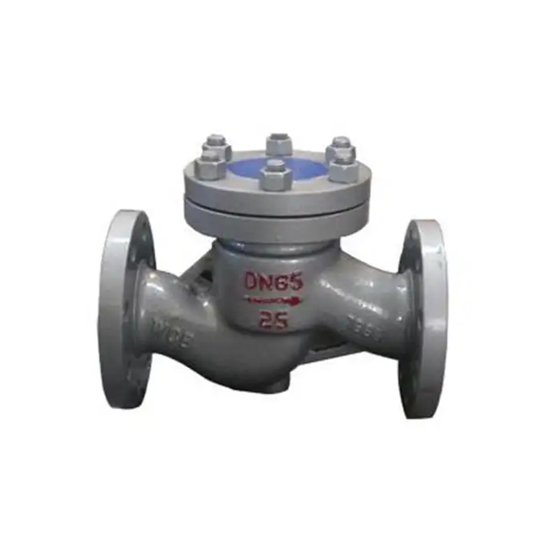 Petroleum pump valve  (12)