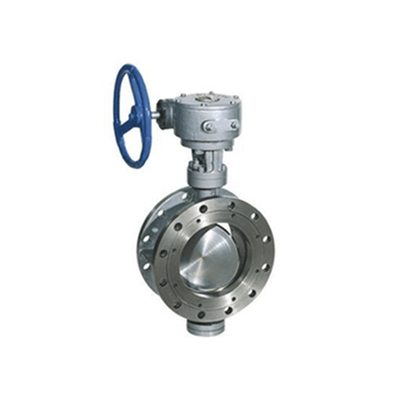 Petroleum pump valve  (5)