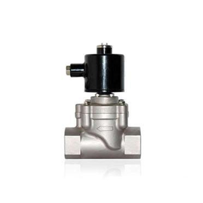 Petroleum pump valve  (4)