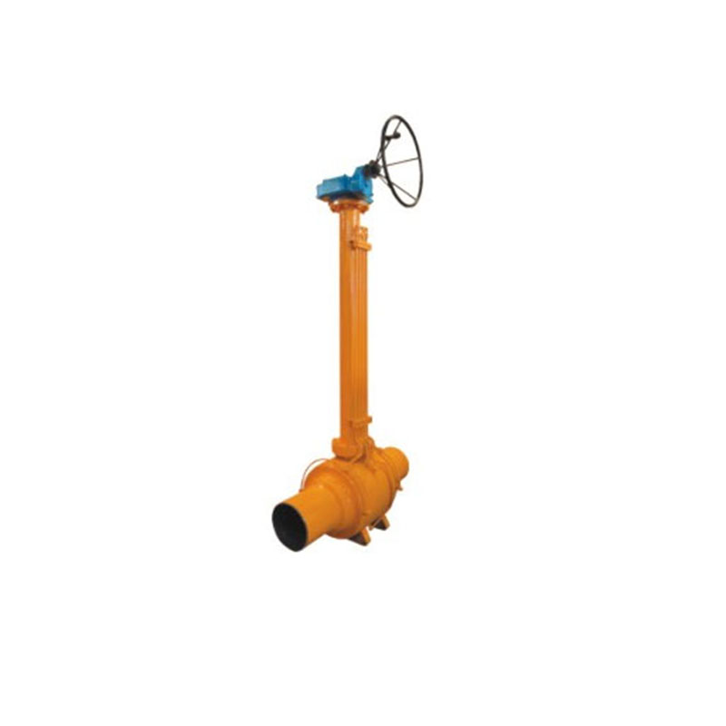 Petroleum pump valve  (14)